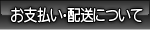 xƔz@ɂ